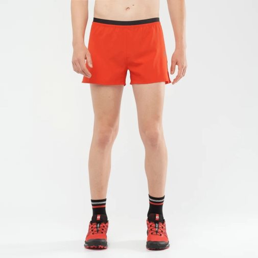 Red Salomon Cross 3'' Men's Shorts | PH 54073H